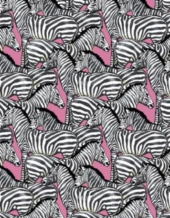 BLUSA TILDE PURA SETA ZEBRE