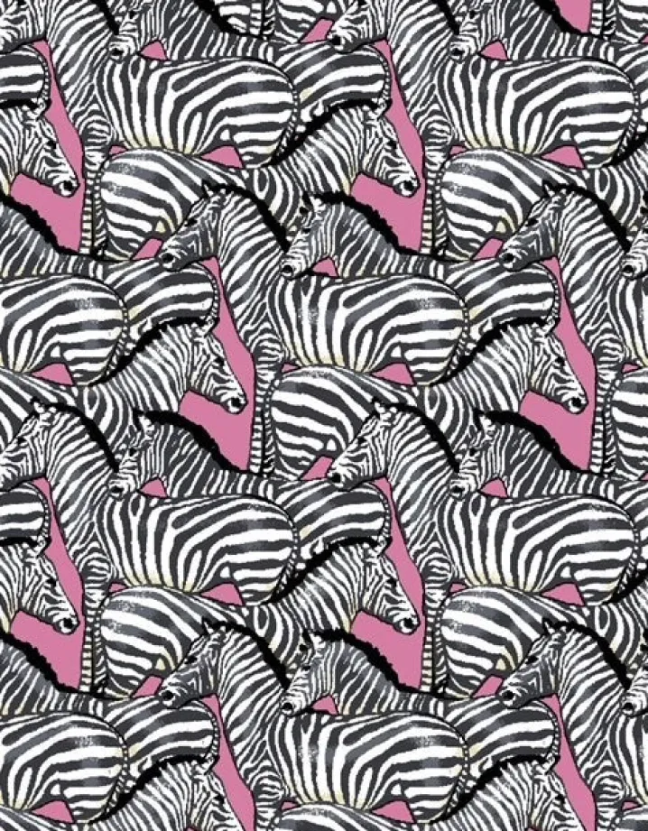 BLUSA TILDE PURA SETA ZEBRE