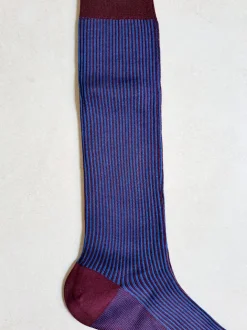 BRESCIANI CALZE A COSTE BORDEAUX CELESTE