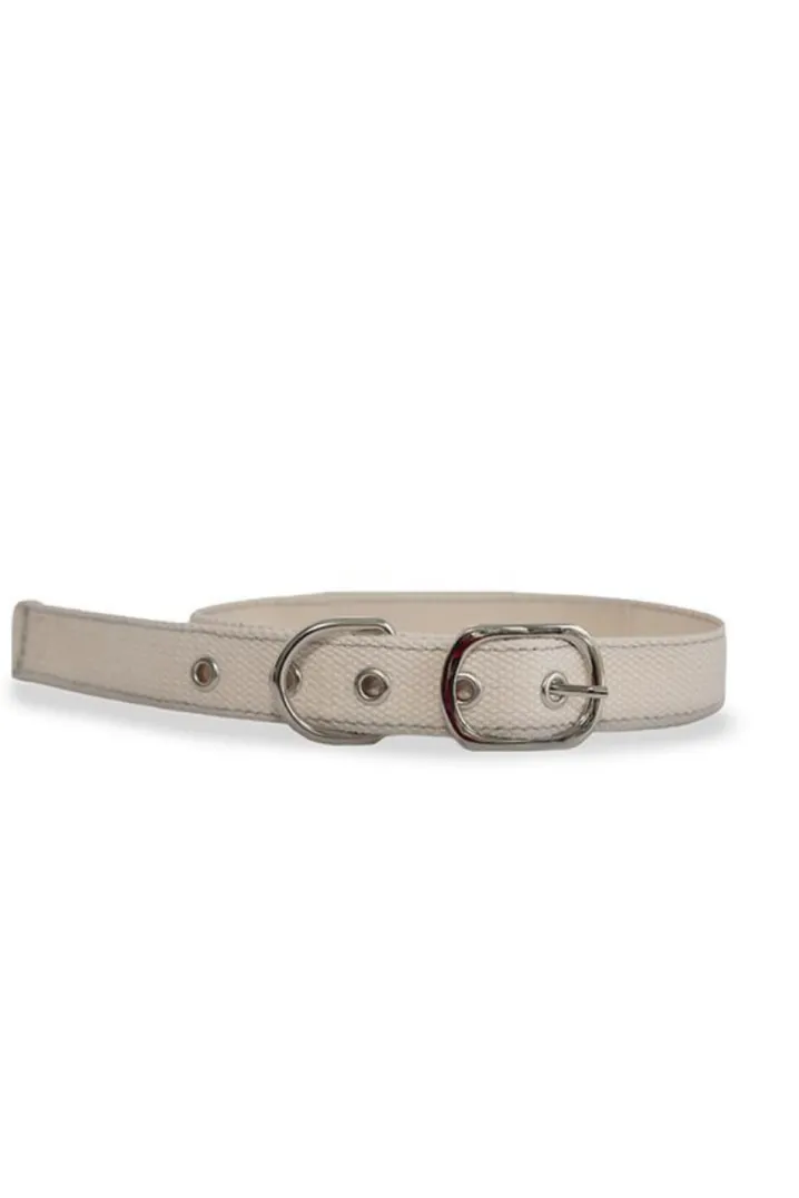 DIY CROSS STITCH DOG COLLAR